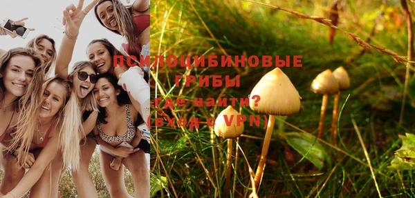 гашиш Саяногорск